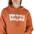 Levis Dressipluusid